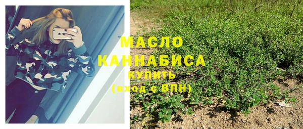 твердый Горнозаводск