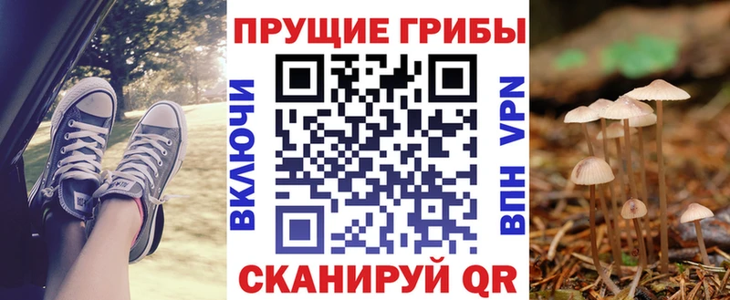 Галлюциногенные грибы MAGIC MUSHROOMS  Купить закладки  Зерноград 